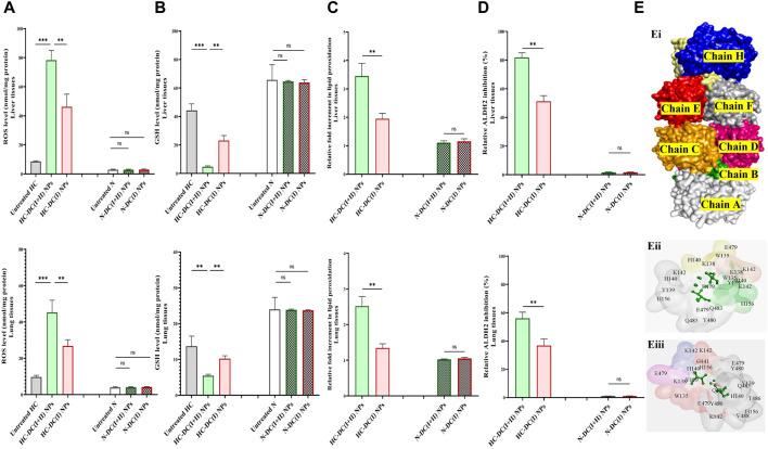 https://cdn.ncbi.nlm.nih.gov/pmc/blobs/ae2c/11284037/6576d3dddae4/fphar-15-1388038-g008.jpg