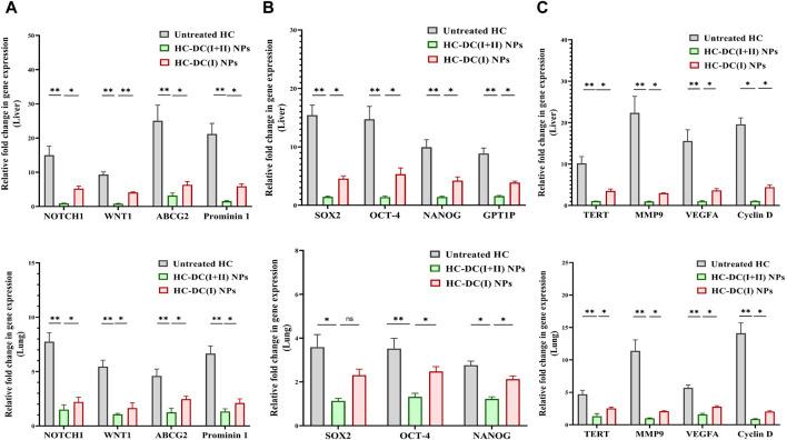 https://cdn.ncbi.nlm.nih.gov/pmc/blobs/ae2c/11284037/80851d3e6bc9/fphar-15-1388038-g006.jpg