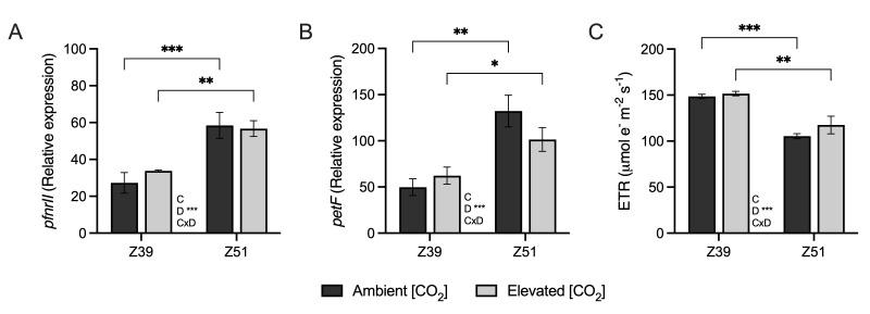 https://cdn.ncbi.nlm.nih.gov/pmc/blobs/ae2c/12299461/a71e0174c6a3/plants-14-02224-g002.jpg