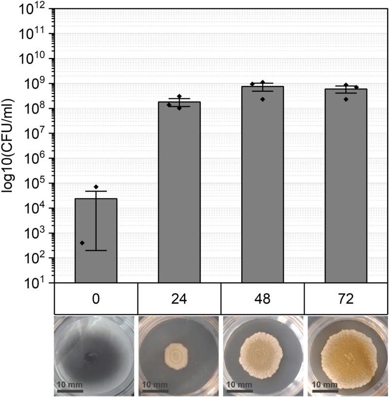 https://cdn.ncbi.nlm.nih.gov/pmc/blobs/ae2e/11985004/31cd174f316f/gr3.jpg