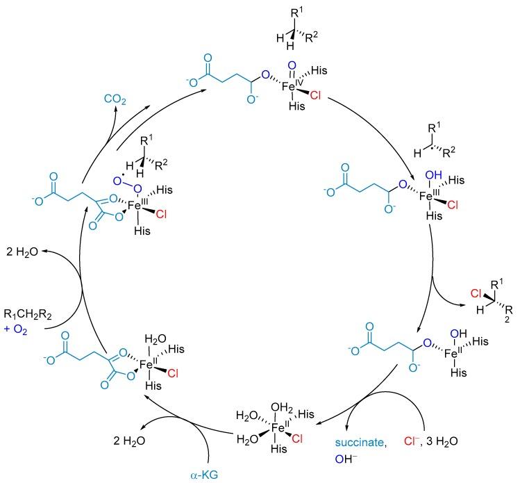 https://cdn.ncbi.nlm.nih.gov/pmc/blobs/ae2e/6864650/0352227449ec/molecules-24-04008-g016.jpg