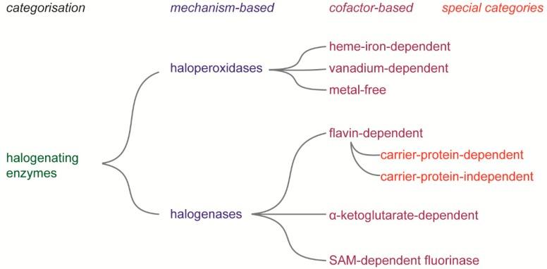 https://cdn.ncbi.nlm.nih.gov/pmc/blobs/ae2e/6864650/072d80c0b8b9/molecules-24-04008-g006.jpg