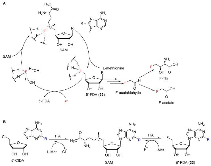 https://cdn.ncbi.nlm.nih.gov/pmc/blobs/ae2e/6864650/0ad2243c53a2/molecules-24-04008-g018.jpg