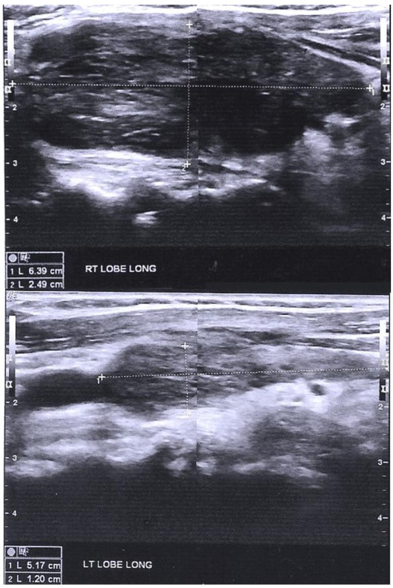 https://cdn.ncbi.nlm.nih.gov/pmc/blobs/ae30/9570111/88cea68266d0/ijms-23-11492-g002.jpg