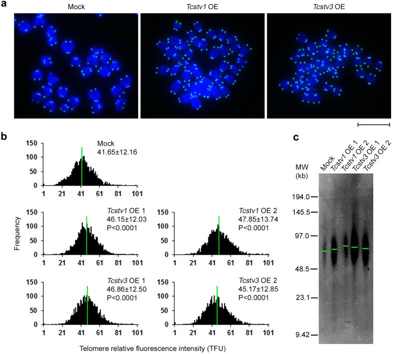 https://cdn.ncbi.nlm.nih.gov/pmc/blobs/ae31/4728397/1a2a8003f724/srep19852-f2.jpg