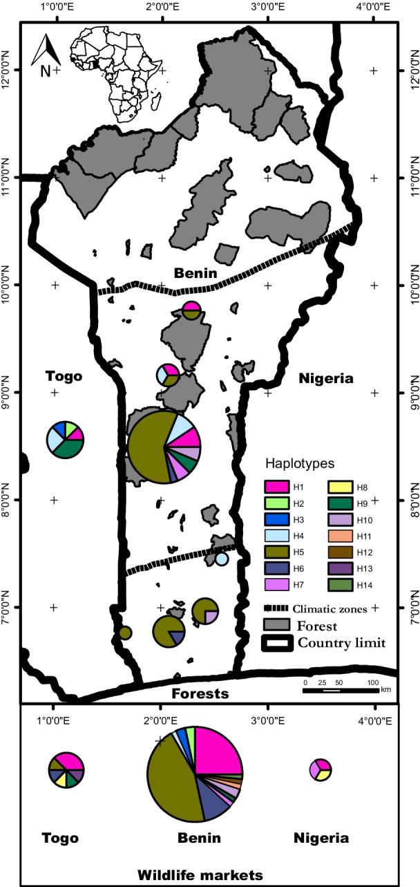 https://cdn.ncbi.nlm.nih.gov/pmc/blobs/ae31/8842964/19a3f005577d/12862_2022_1971_Fig2_HTML.jpg