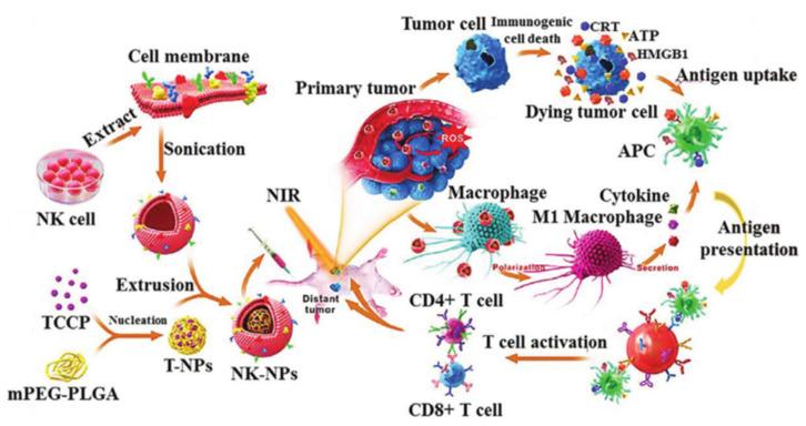 https://cdn.ncbi.nlm.nih.gov/pmc/blobs/ae31/9412372/ea8aa0ab68c2/membranes-12-00738-g003.jpg