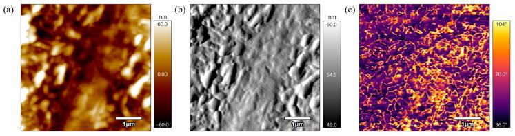 https://cdn.ncbi.nlm.nih.gov/pmc/blobs/ae34/11944985/85d1cd5a7990/polymers-17-00744-g013.jpg