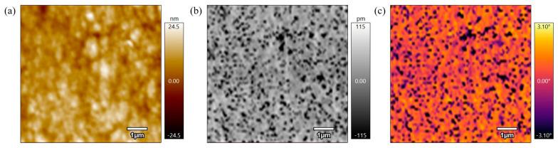 https://cdn.ncbi.nlm.nih.gov/pmc/blobs/ae34/11944985/d5d34f51ade7/polymers-17-00744-g009.jpg