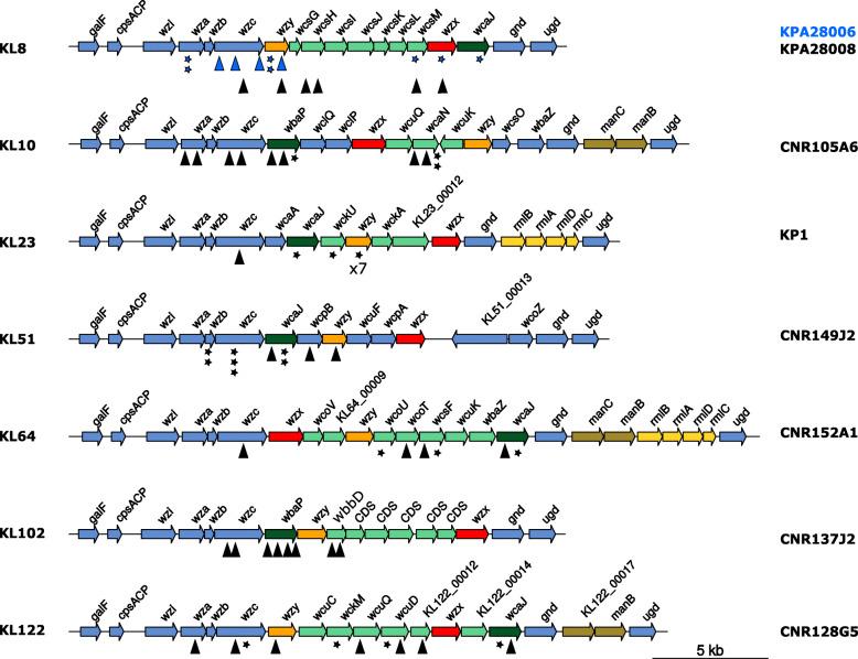 https://cdn.ncbi.nlm.nih.gov/pmc/blobs/ae37/7590720/d64021ce374c/12866_2020_2007_Fig1_HTML.jpg