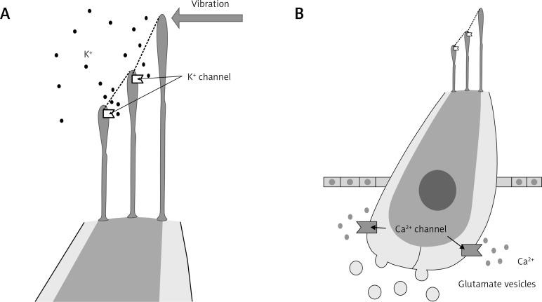 https://cdn.ncbi.nlm.nih.gov/pmc/blobs/ae38/6657260/8970adab800c/AMS-15-36991-g001.jpg