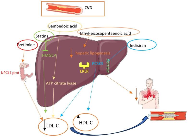https://cdn.ncbi.nlm.nih.gov/pmc/blobs/ae3c/11124492/4d64c6d8b2bd/pharmaceuticals-17-00568-g001.jpg