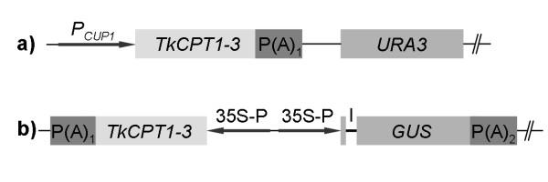 https://cdn.ncbi.nlm.nih.gov/pmc/blobs/ae3c/2836272/84ef56828d09/1471-2091-11-11-6.jpg
