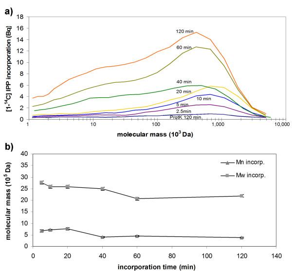 https://cdn.ncbi.nlm.nih.gov/pmc/blobs/ae3c/2836272/bd0027b35a85/1471-2091-11-11-4.jpg
