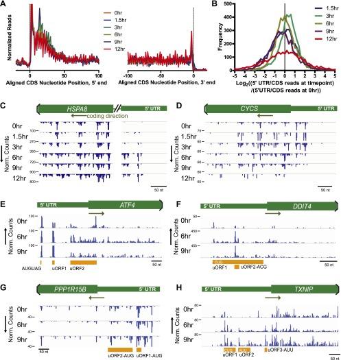 https://cdn.ncbi.nlm.nih.gov/pmc/blobs/ae3c/3808542/087ddc117bb0/elife01236f003.jpg