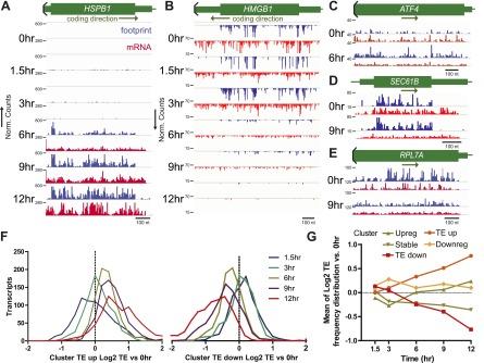 https://cdn.ncbi.nlm.nih.gov/pmc/blobs/ae3c/3808542/a462391df6bb/elife01236f002.jpg