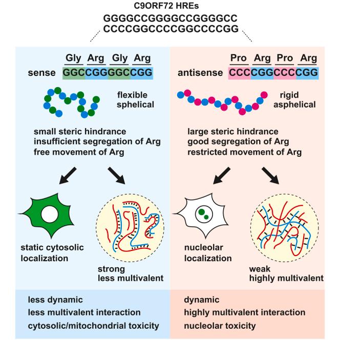 https://cdn.ncbi.nlm.nih.gov/pmc/blobs/ae3d/10275993/7aebee799da2/fx1.jpg