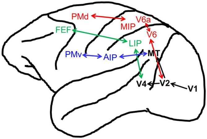 https://cdn.ncbi.nlm.nih.gov/pmc/blobs/ae3f/4834298/13463c06e7a2/fncom-10-00037-g0001.jpg