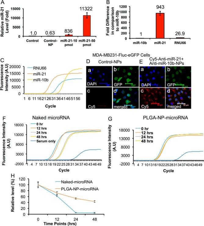 https://cdn.ncbi.nlm.nih.gov/pmc/blobs/ae40/4374409/09704bf8d4cd/nn-2014-07465d_0003.jpg