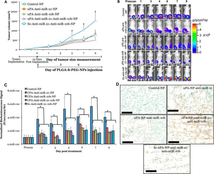 https://cdn.ncbi.nlm.nih.gov/pmc/blobs/ae40/4374409/a4dfe336bd66/nn-2014-07465d_0006.jpg