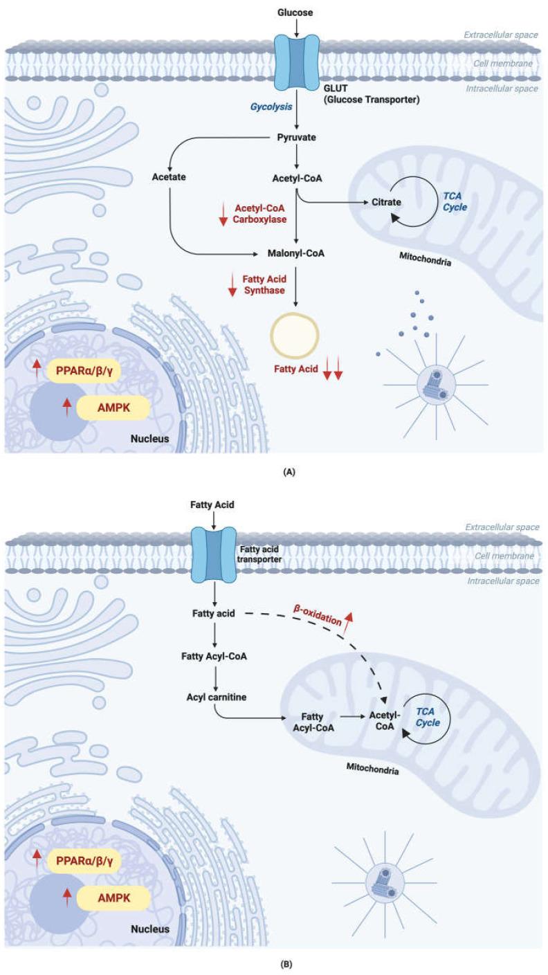 https://cdn.ncbi.nlm.nih.gov/pmc/blobs/ae41/10179653/8df0f9ff88c3/ijms-24-08203-g004.jpg