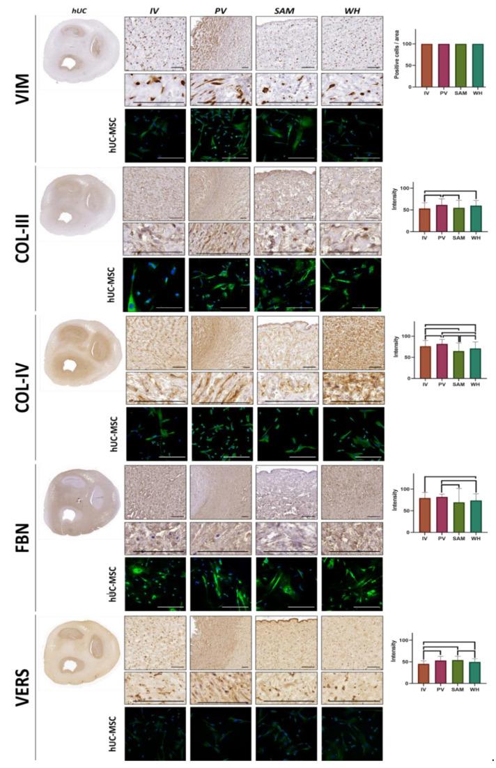 https://cdn.ncbi.nlm.nih.gov/pmc/blobs/ae41/9028794/c304e530dce4/jpm-12-00648-g004.jpg