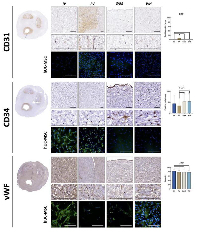 https://cdn.ncbi.nlm.nih.gov/pmc/blobs/ae41/9028794/c6425f53eabc/jpm-12-00648-g005.jpg