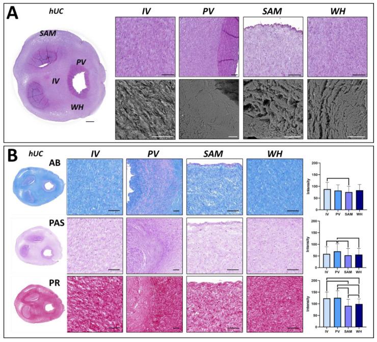 https://cdn.ncbi.nlm.nih.gov/pmc/blobs/ae41/9028794/e009ff8347bc/jpm-12-00648-g001.jpg