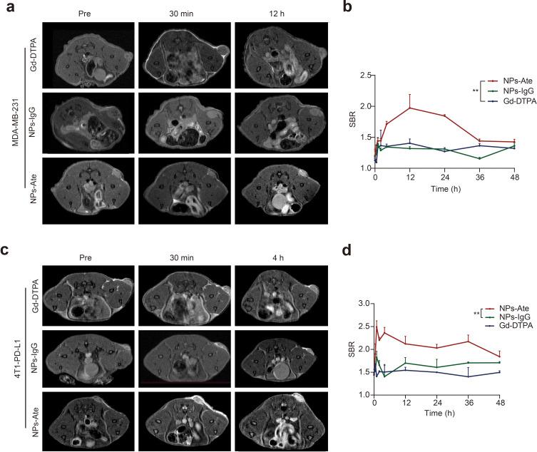 https://cdn.ncbi.nlm.nih.gov/pmc/blobs/ae42/10497065/54dc019bf21c/IJN-18-5141-g0006.jpg