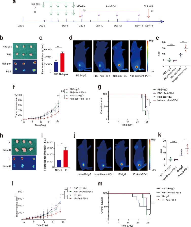https://cdn.ncbi.nlm.nih.gov/pmc/blobs/ae42/10497065/c33582050bea/IJN-18-5141-g0007.jpg