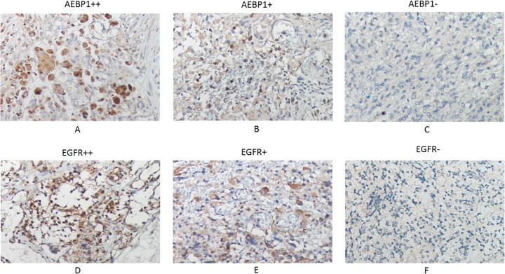 https://cdn.ncbi.nlm.nih.gov/pmc/blobs/ae42/7646399/7e61013c2307/12859_2020_3674_Fig5_HTML.jpg