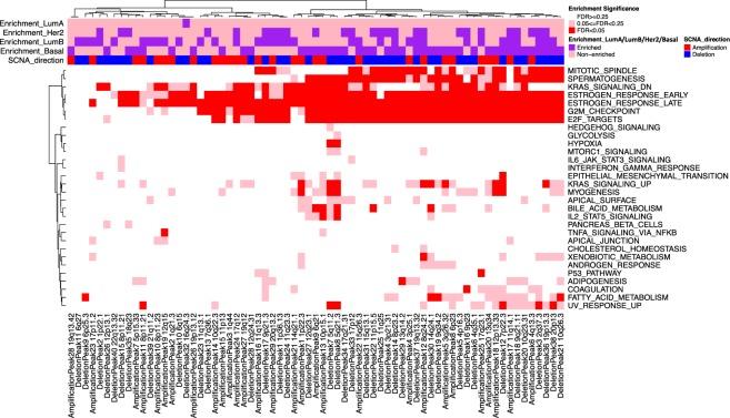 https://cdn.ncbi.nlm.nih.gov/pmc/blobs/ae46/6858347/80d378a3bed4/41598_2019_52886_Fig3_HTML.jpg