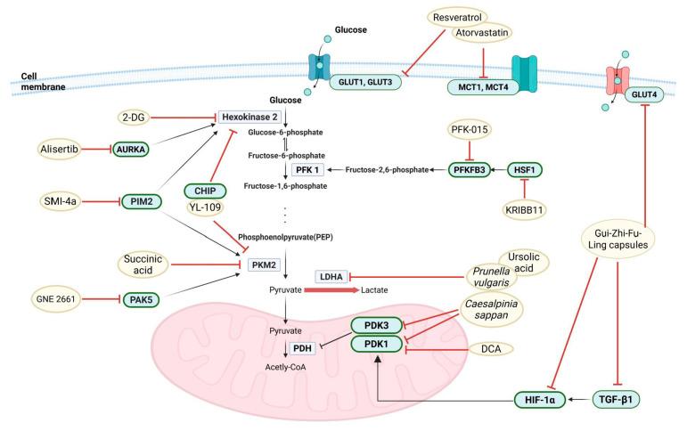 https://cdn.ncbi.nlm.nih.gov/pmc/blobs/ae47/12195805/93ab46fbb116/pharmaceuticals-18-00813-g004.jpg