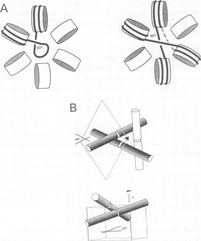 https://cdn.ncbi.nlm.nih.gov/pmc/blobs/ae49/395153/b7ab27b597bf/emboj00060-0016-a.jpg