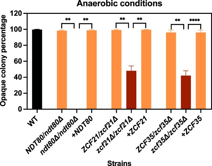 https://cdn.ncbi.nlm.nih.gov/pmc/blobs/ae4a/12077150/83ae30df977a/mbio.00581-25.f002.jpg