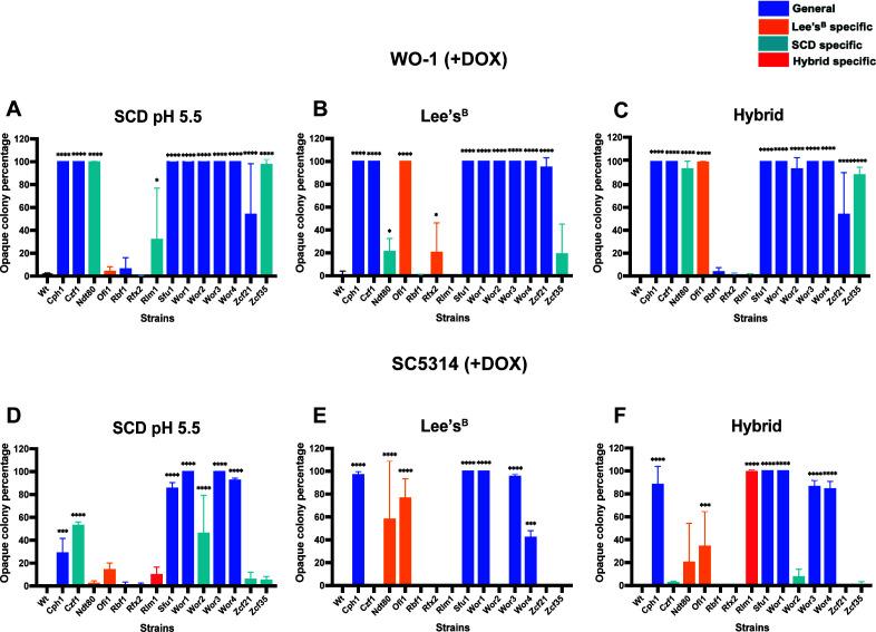 https://cdn.ncbi.nlm.nih.gov/pmc/blobs/ae4a/12077150/eca8f1c624ee/mbio.00581-25.f003.jpg