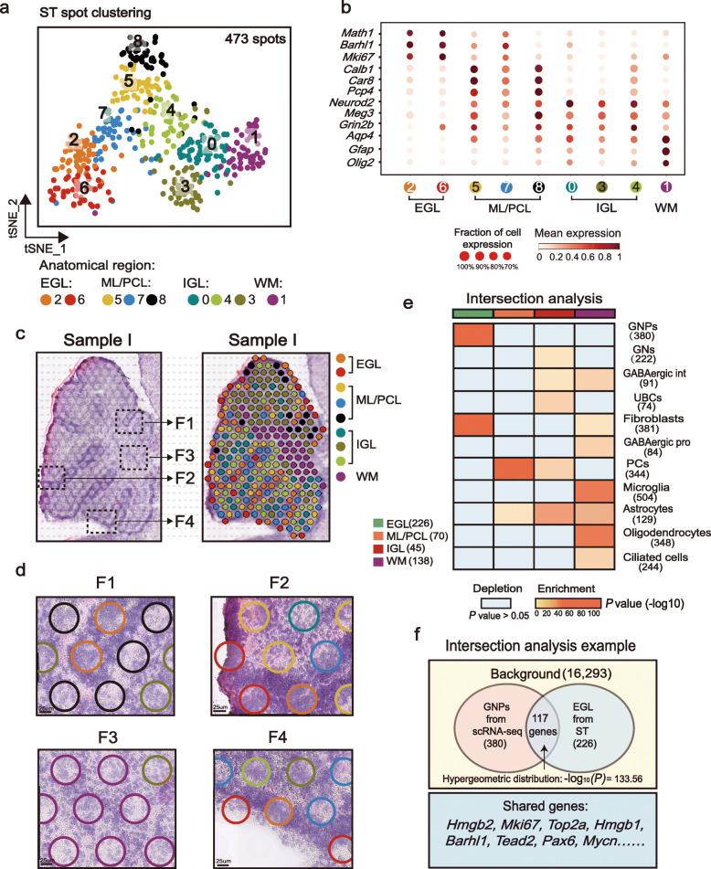 https://cdn.ncbi.nlm.nih.gov/pmc/blobs/ae4c/8247169/ab15ff476900/12915_2021_1071_Fig4_HTML.jpg