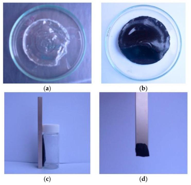 https://cdn.ncbi.nlm.nih.gov/pmc/blobs/ae4c/9956074/ca363a5ba09a/gels-09-00161-g011.jpg