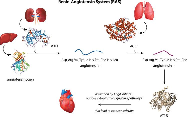 https://cdn.ncbi.nlm.nih.gov/pmc/blobs/ae4e/11561769/894d766c9ffe/ao4c06351_0001.jpg