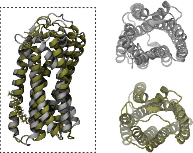 https://cdn.ncbi.nlm.nih.gov/pmc/blobs/ae4e/11561769/f520508a6e00/ao4c06351_0012.jpg