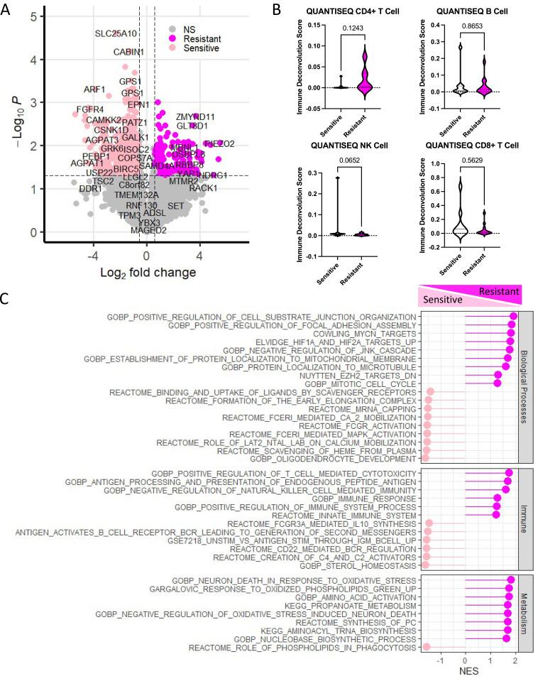https://cdn.ncbi.nlm.nih.gov/pmc/blobs/ae4f/12049113/a5859d4450de/BCTT-17-359-g0001.jpg