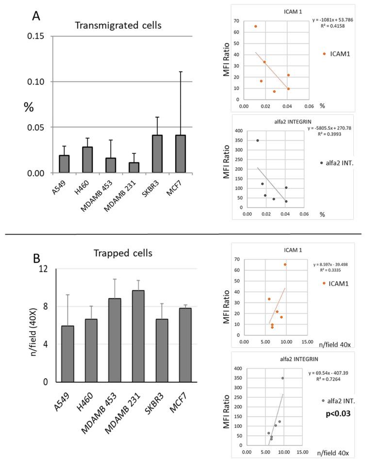 https://cdn.ncbi.nlm.nih.gov/pmc/blobs/ae51/10252721/3cf2e403a06f/cancers-15-03045-g001.jpg