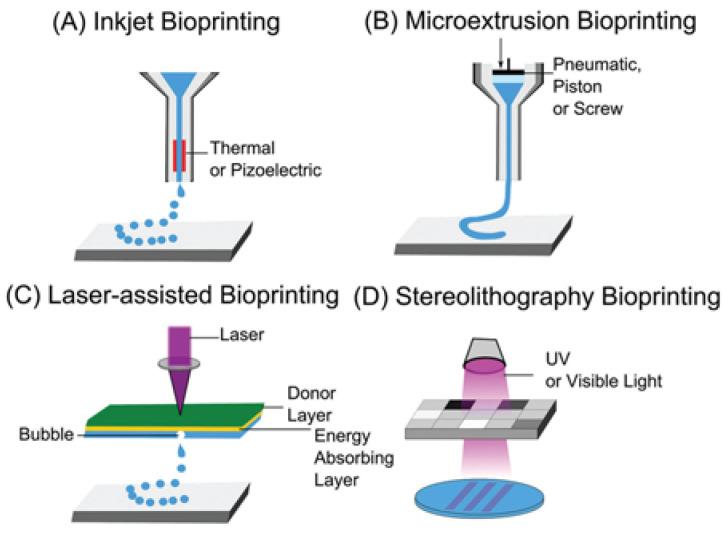 https://cdn.ncbi.nlm.nih.gov/pmc/blobs/ae52/12024949/028fb3b6390e/biomimetics-10-00213-g002.jpg
