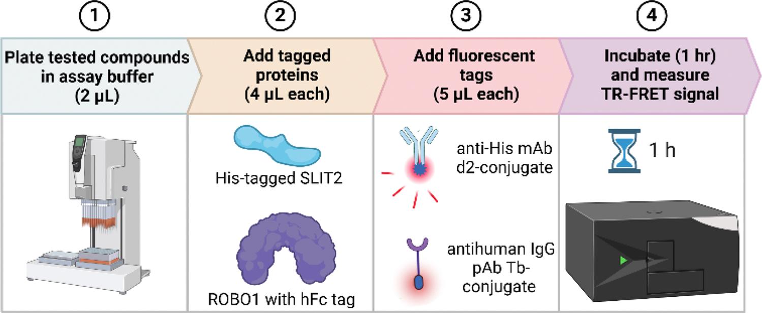 https://cdn.ncbi.nlm.nih.gov/pmc/blobs/ae52/12185226/9689190065e6/nihms-2088571-f0001.jpg