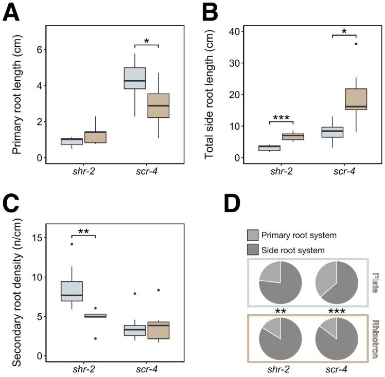 https://cdn.ncbi.nlm.nih.gov/pmc/blobs/ae52/8303133/5a5d91966818/genes-12-01028-g005.jpg