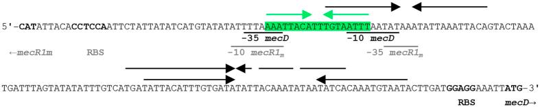 https://cdn.ncbi.nlm.nih.gov/pmc/blobs/ae53/5341023/7713b9617adc/srep43797-f2.jpg