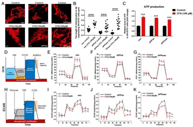 https://cdn.ncbi.nlm.nih.gov/pmc/blobs/ae53/6929631/4359be16416b/thnov10p0179g003.jpg