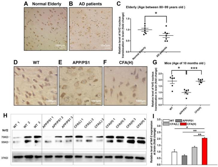 https://cdn.ncbi.nlm.nih.gov/pmc/blobs/ae53/6929631/75541f5dfe7a/thnov10p0179g006.jpg