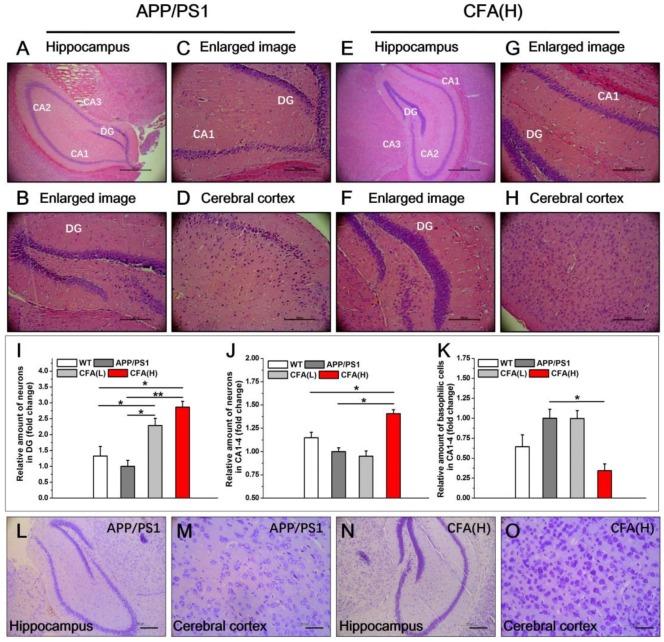 https://cdn.ncbi.nlm.nih.gov/pmc/blobs/ae53/6929631/8608b92f4dd0/thnov10p0179g009.jpg
