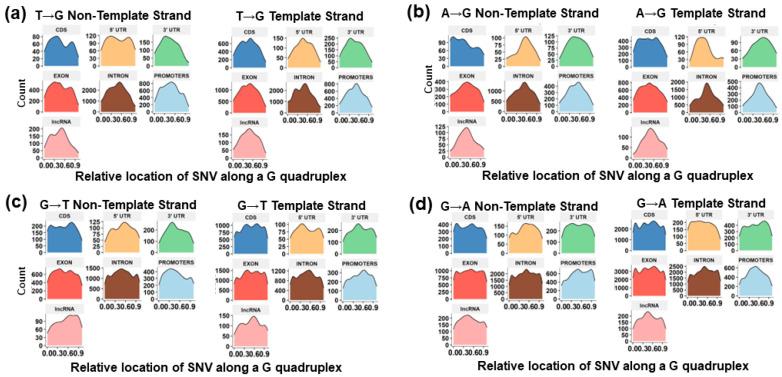 https://cdn.ncbi.nlm.nih.gov/pmc/blobs/ae55/10742762/b7951ea4087b/genes-14-02125-g007.jpg